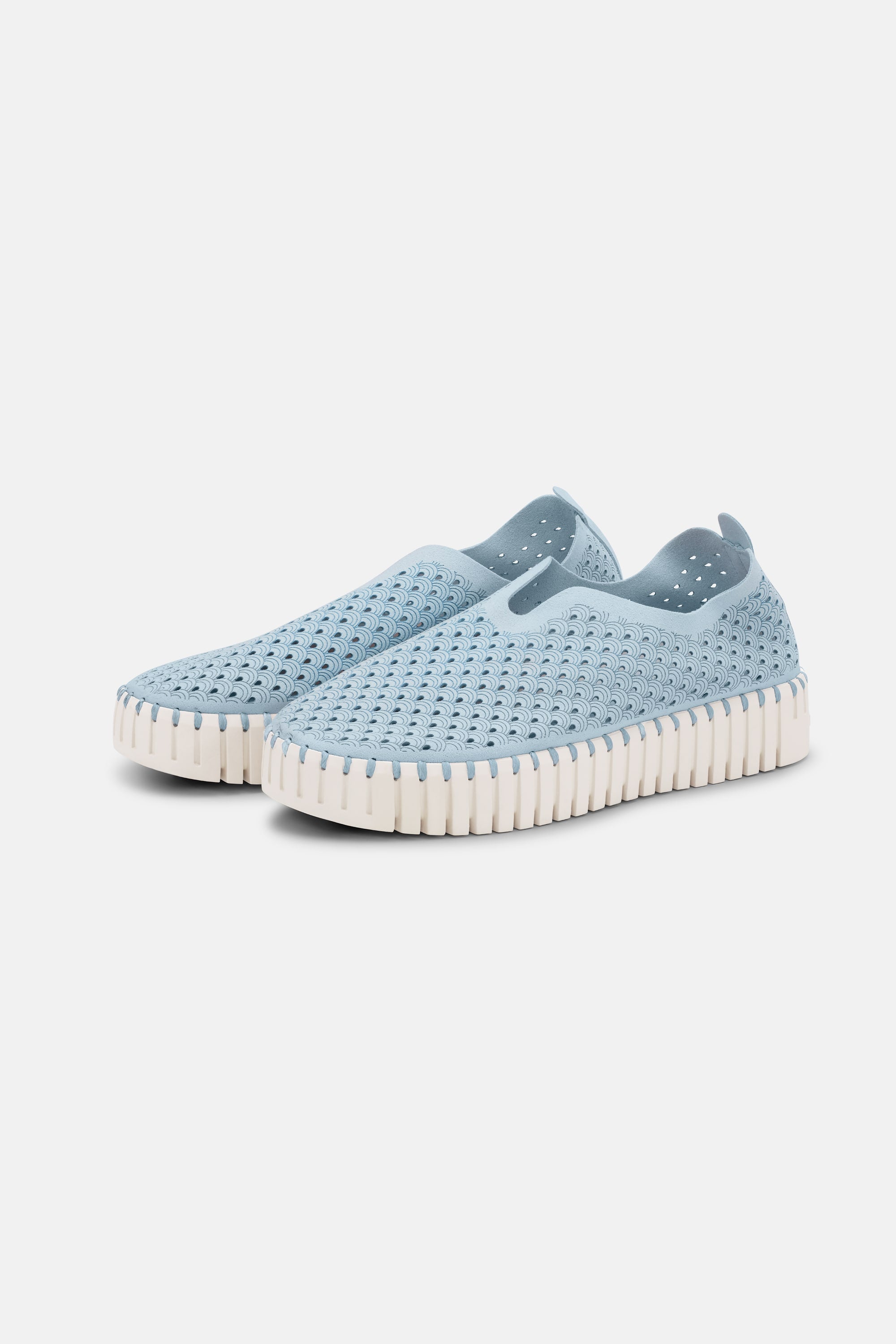 Tulip Chaussures Plateforme - Ash Blue
